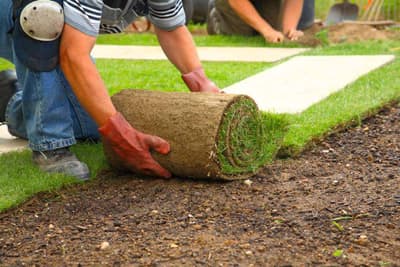 prato a rotoli preparazione terreno