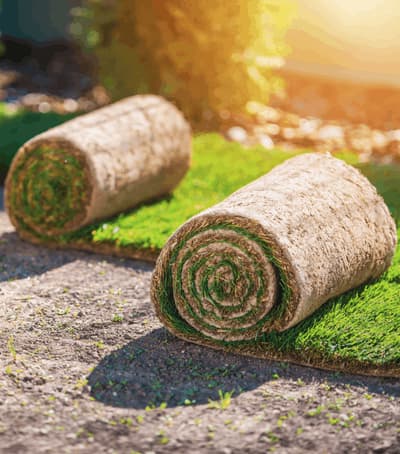 prato verde a rotoli
